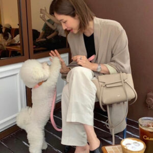 [차정원]celine 나노 벨트백(베이지)