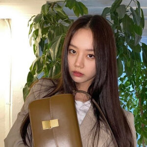 [혜리]celine 클래식 박스 틴(브라운)